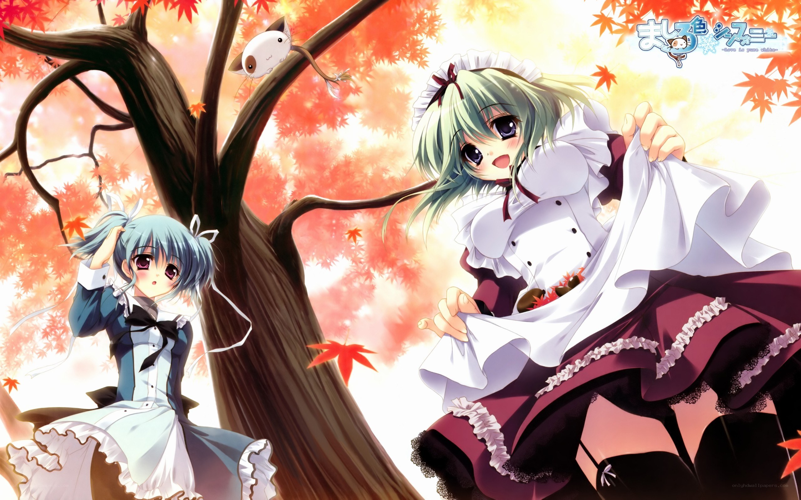 Anime girls under a maple tree