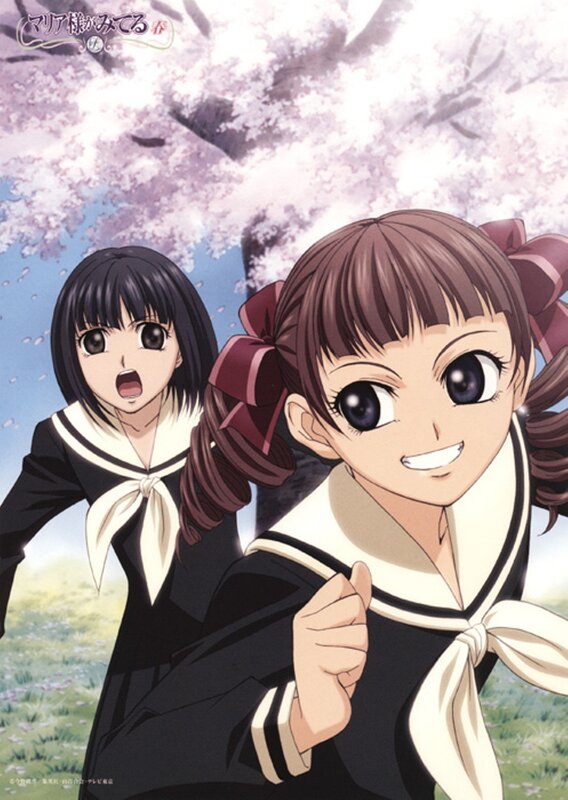 anime girls under cherry blossoms