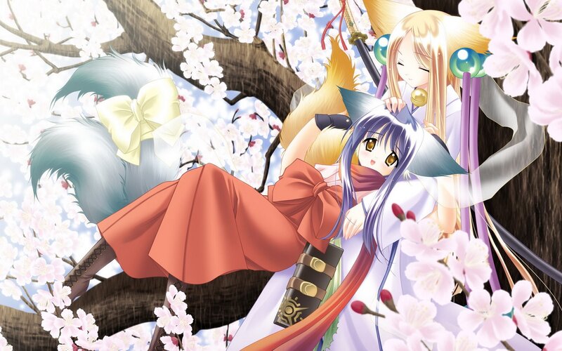 anime girls under cherry blossoms