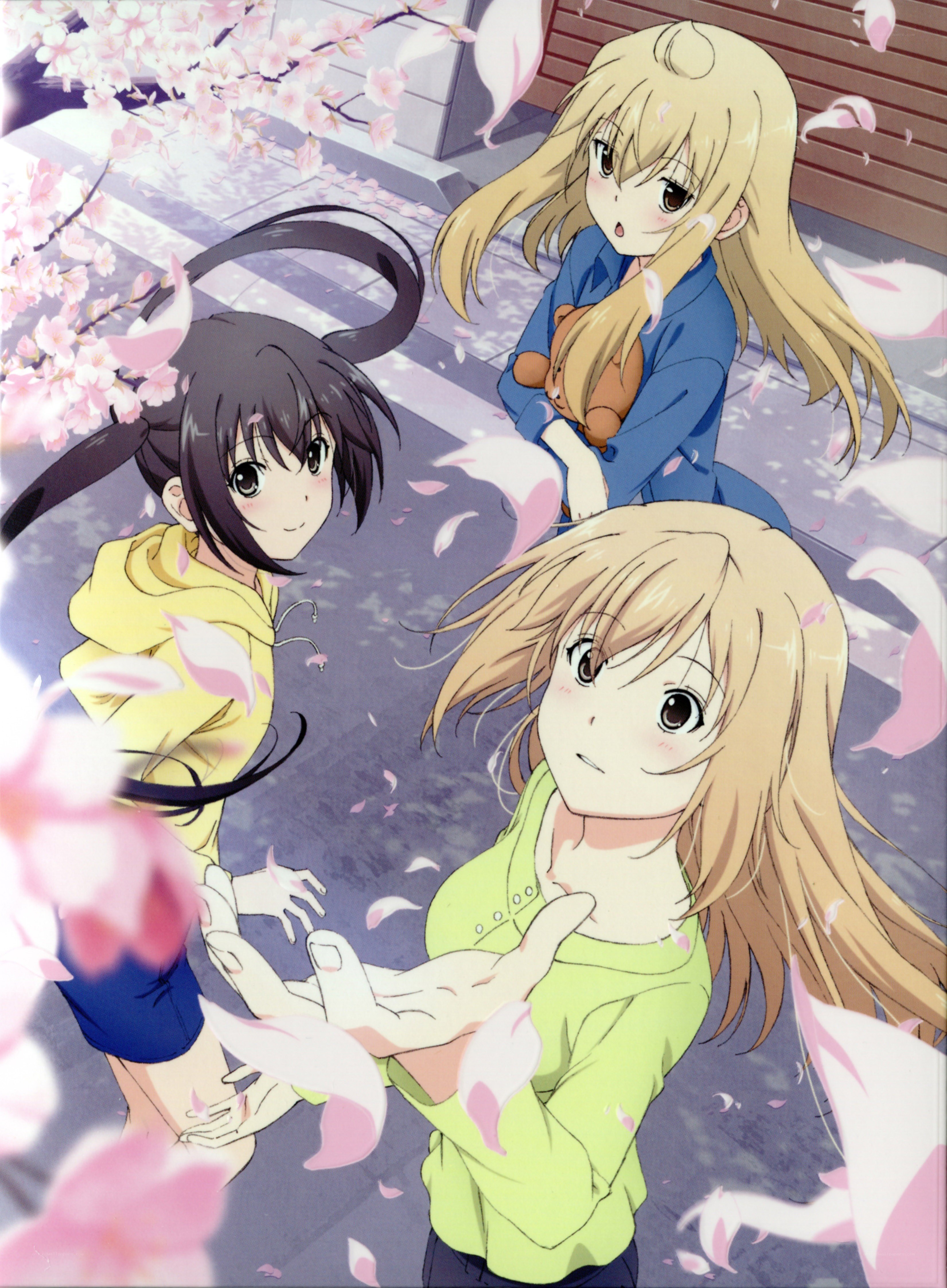 anime girls under cherry blossoms
