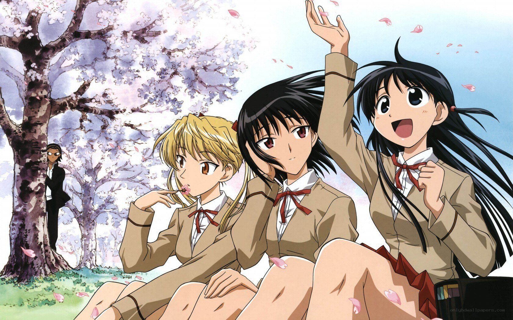 Anime girls under cherry blossoms
