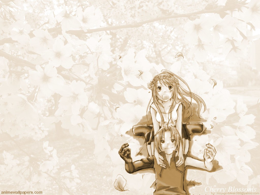 Anime girls under cherry blossoms