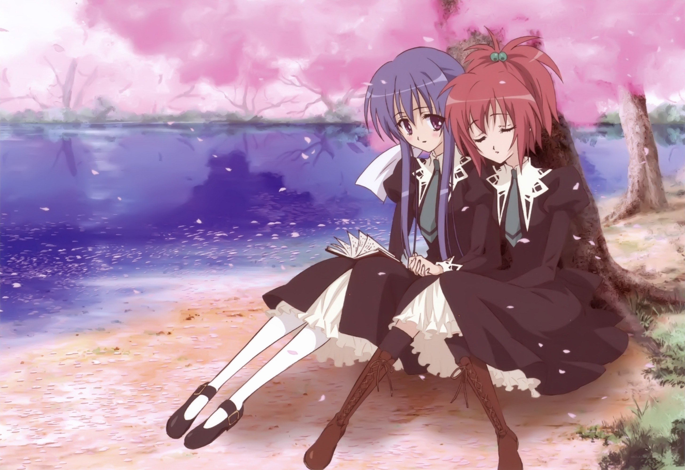 anime girls under cherry blossoms