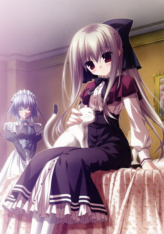 Anime girls with a cat