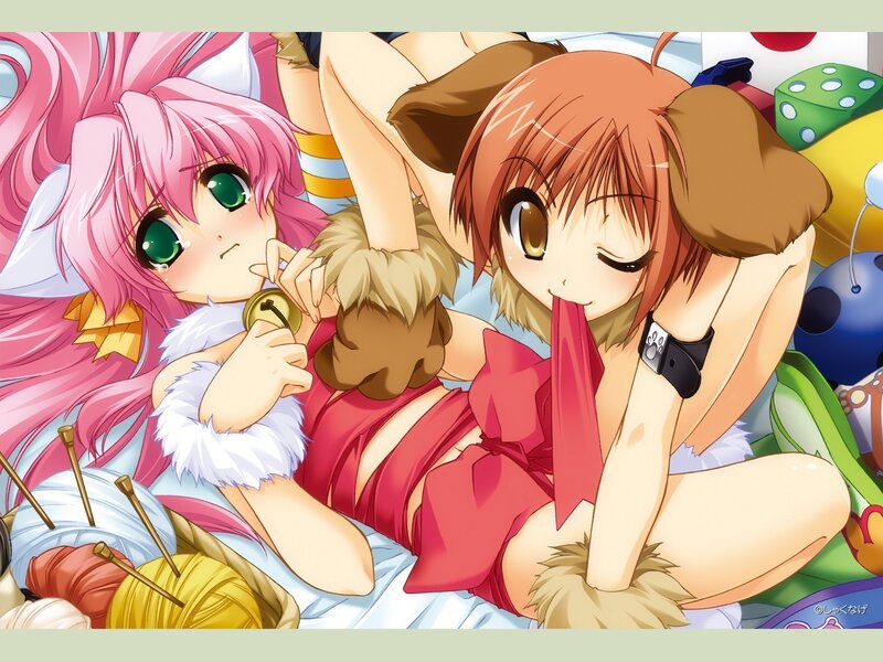 Anime girls with animal ears