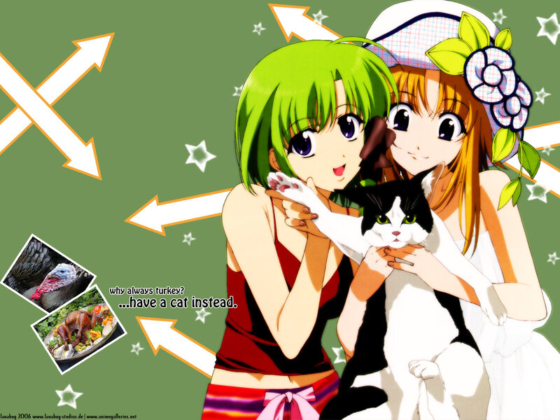 anime girls with cat