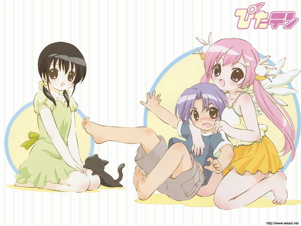 Anime girls with cat