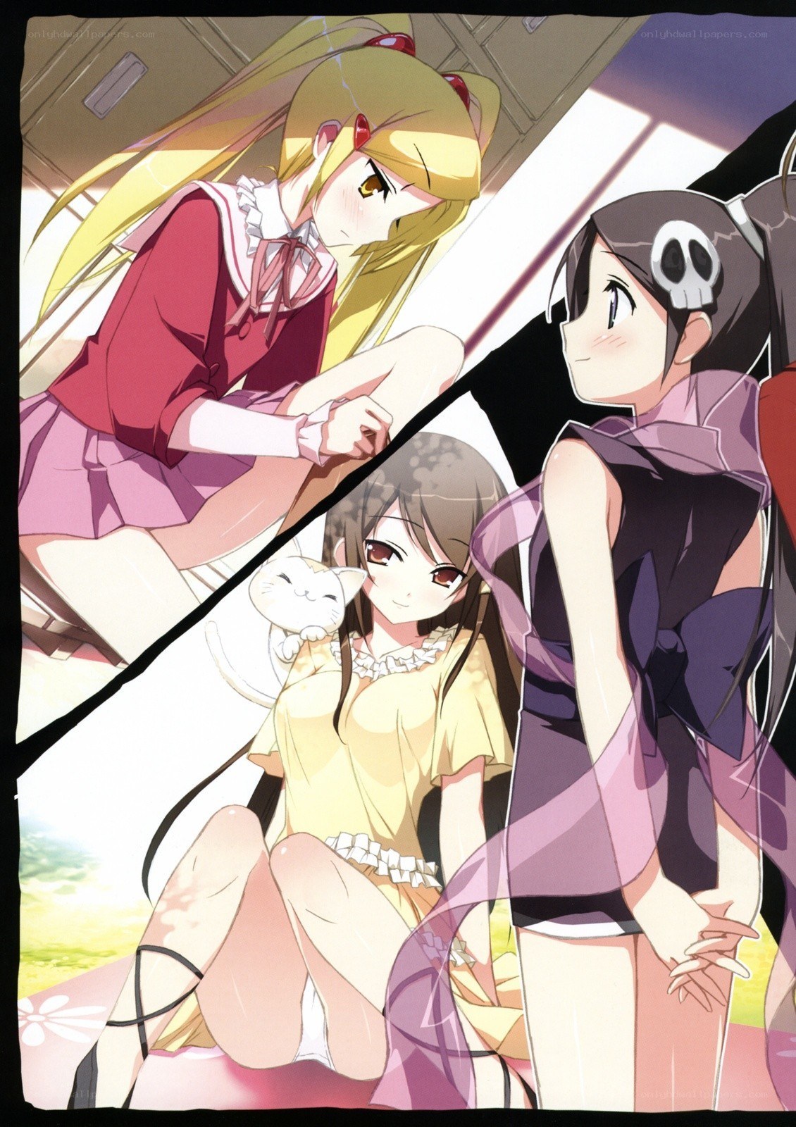 Anime girls with cat