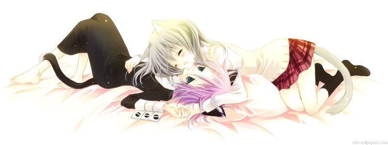 Anime girls with cat ears