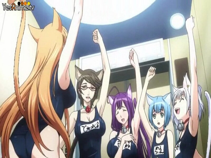 Anime Girls with Cat Ears — Blue