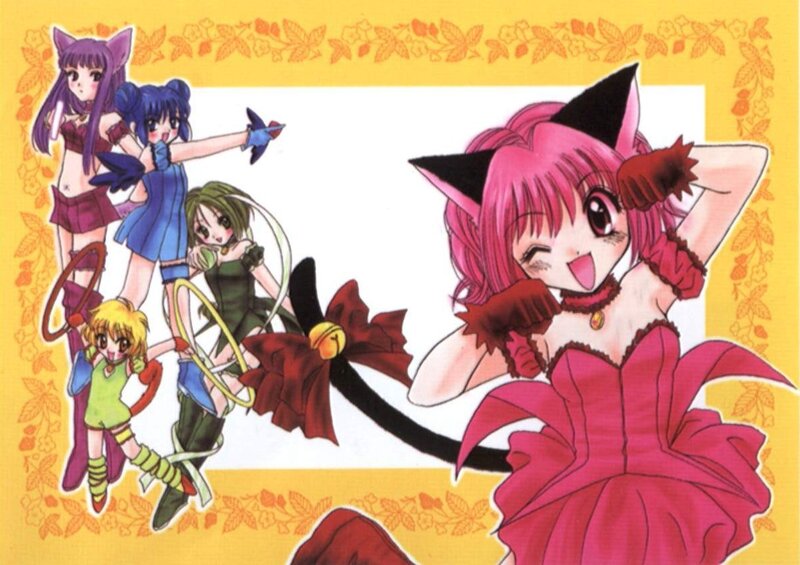 Anime Girls with Cat Ears — Pink