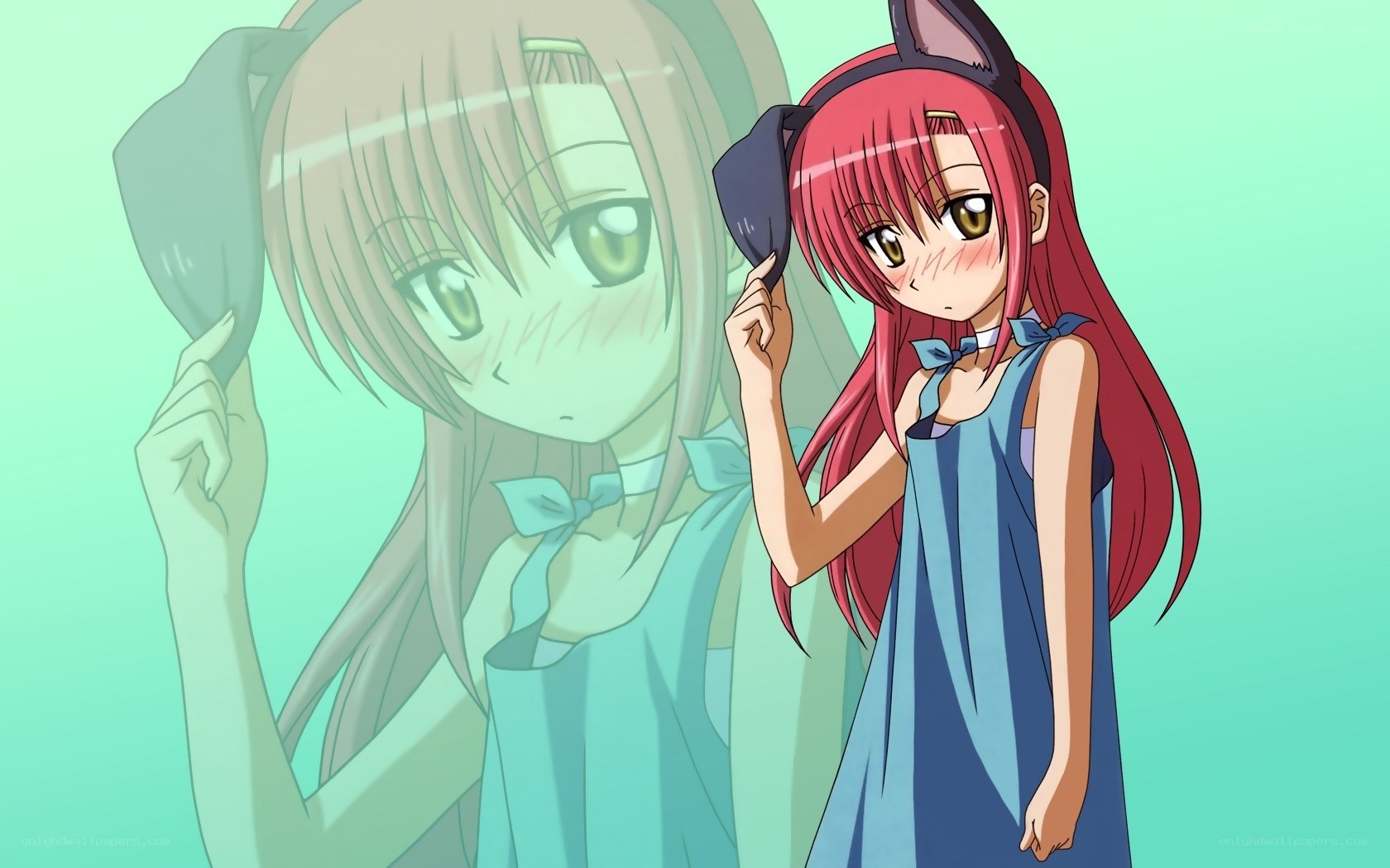 anime girls with cat ears