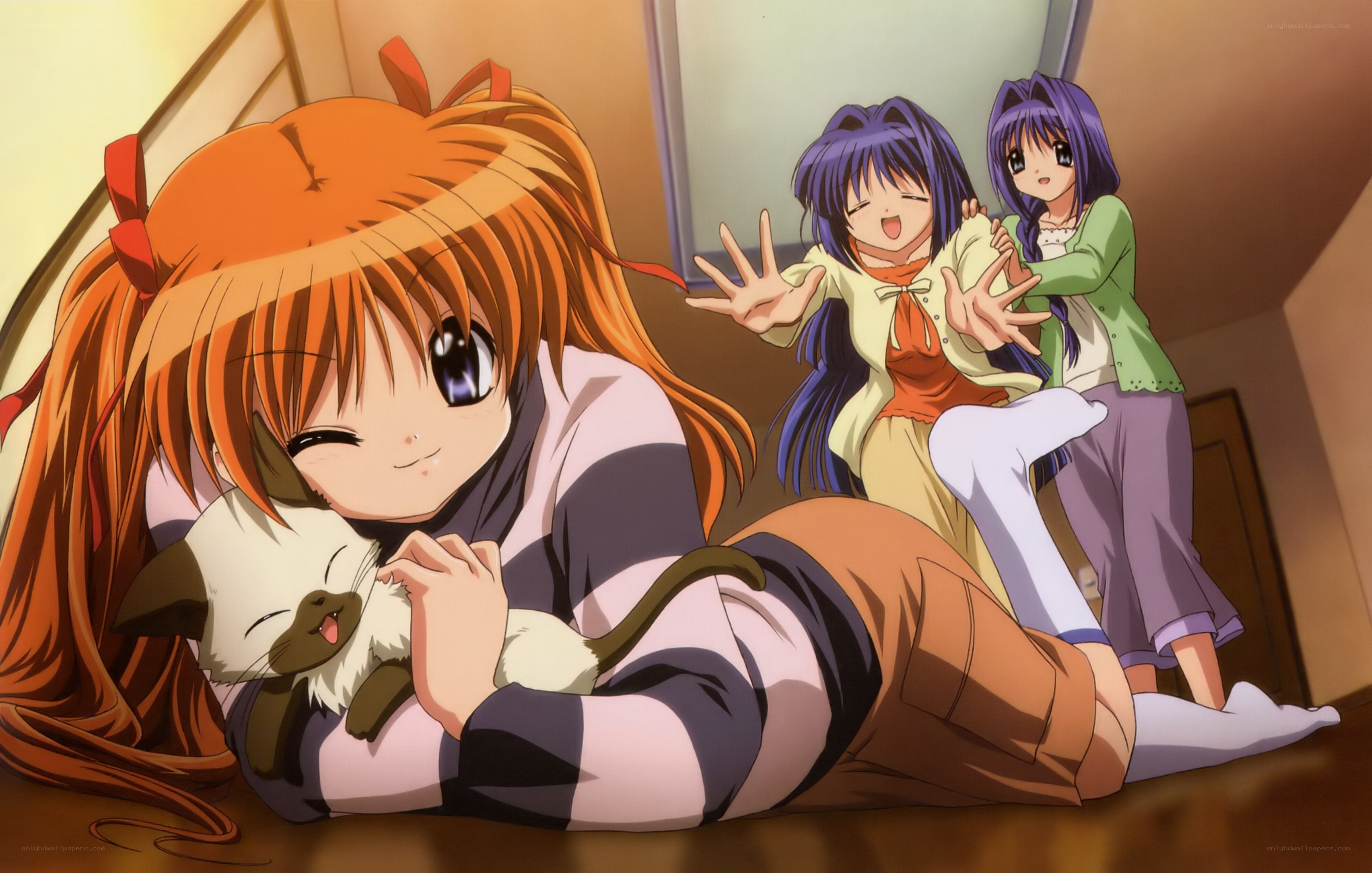 Anime girls with cat