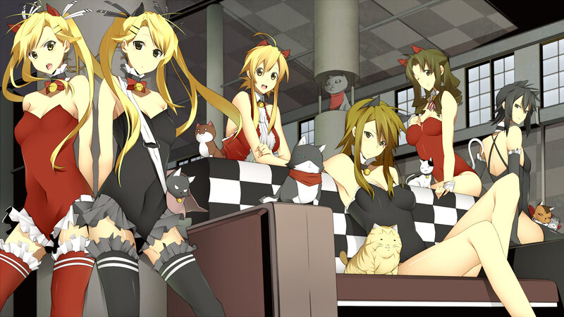 anime girls with cats in a cafe