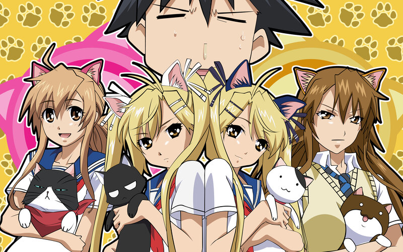 Anime Girls with Cats — Yellow