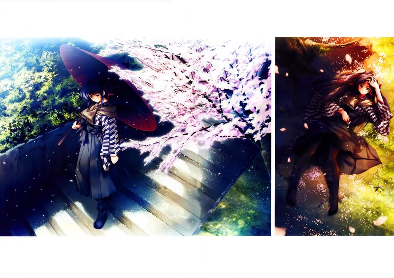 Anime girls with cherry blossoms
