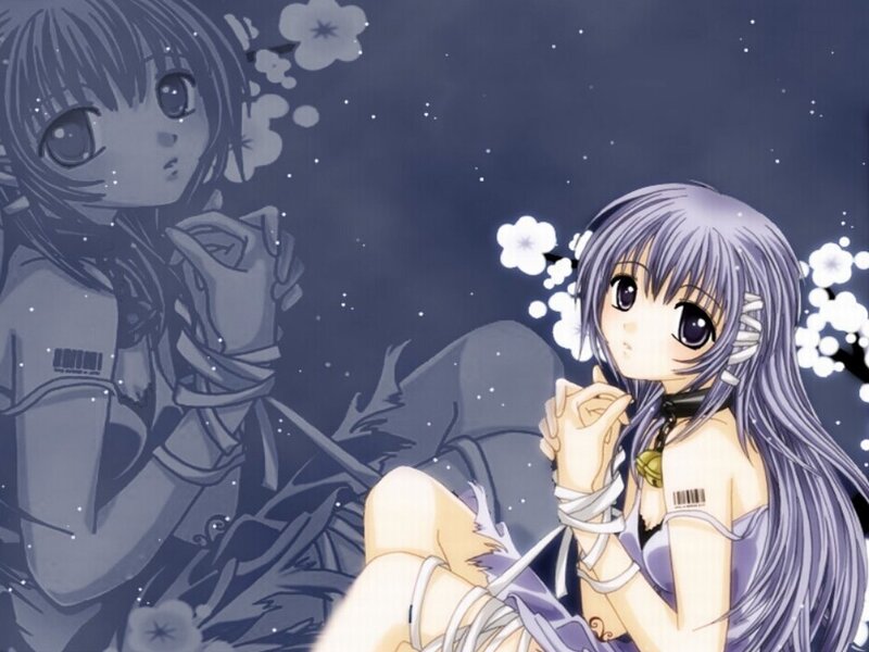 Anime girls with cherry blossoms