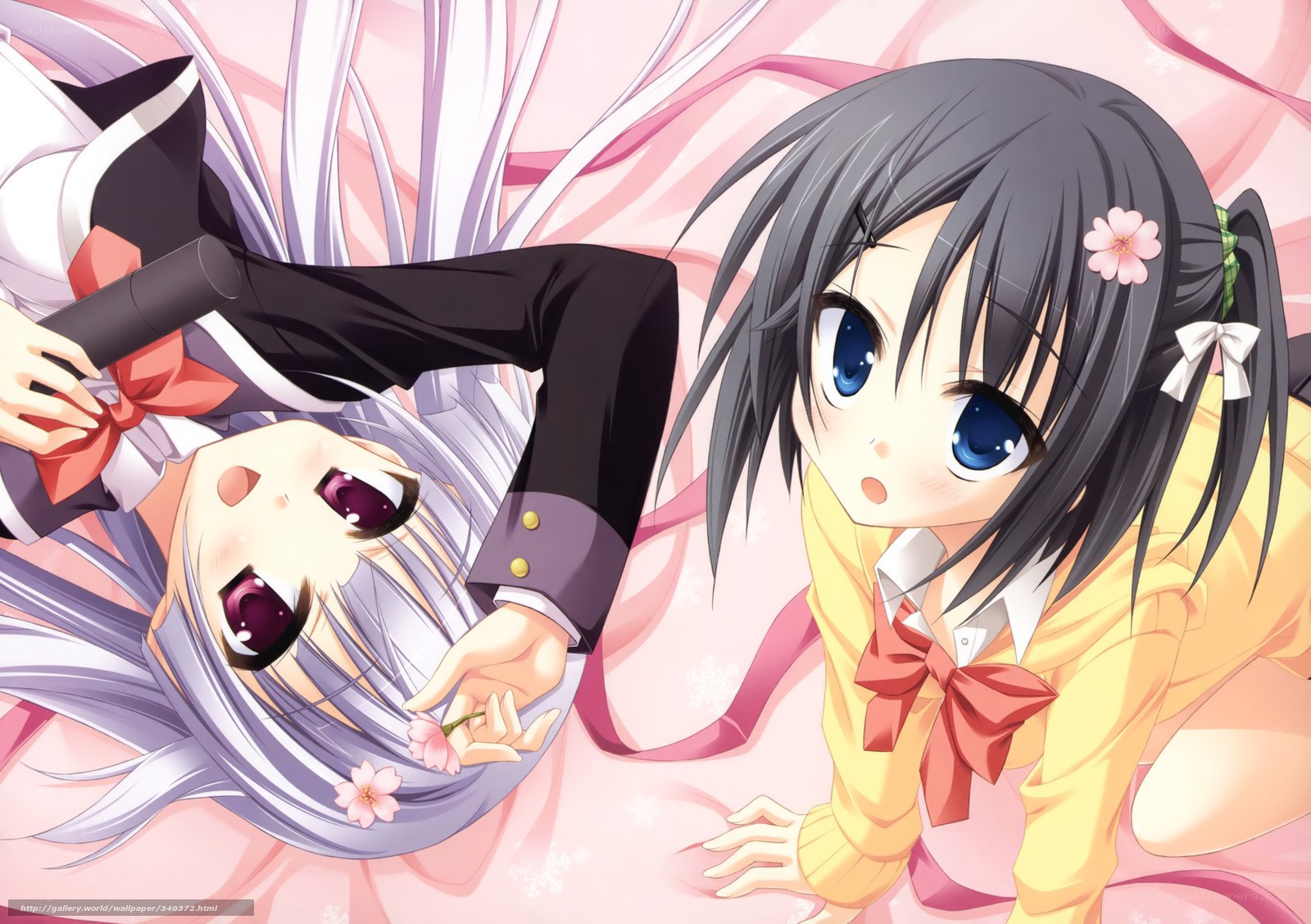 Anime girls with cherry blossoms