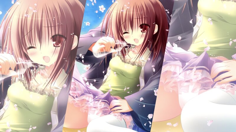 anime girls with cherry blossoms