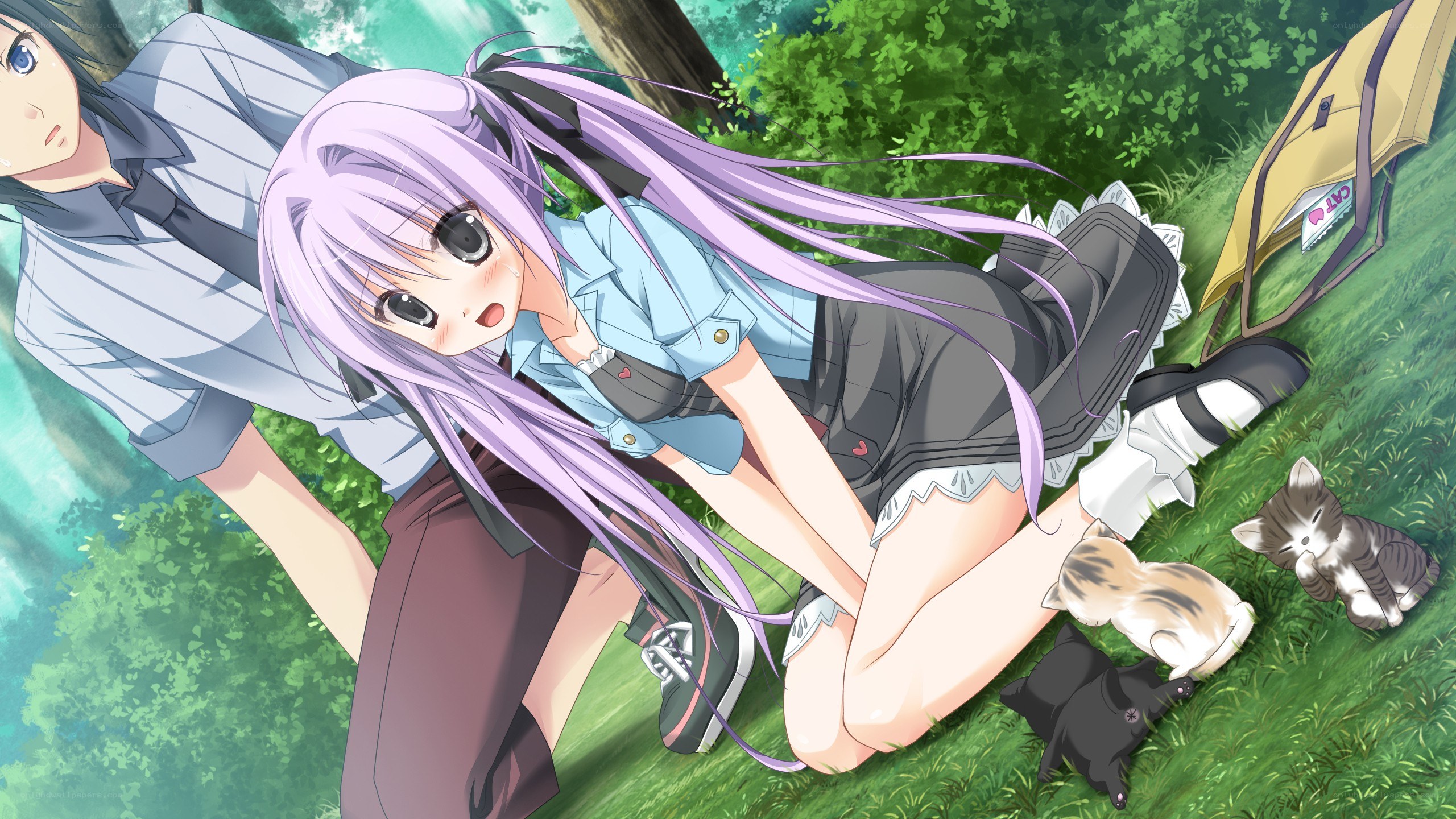 Anime girls with kittens