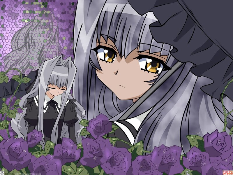 Anime girls with purple roses