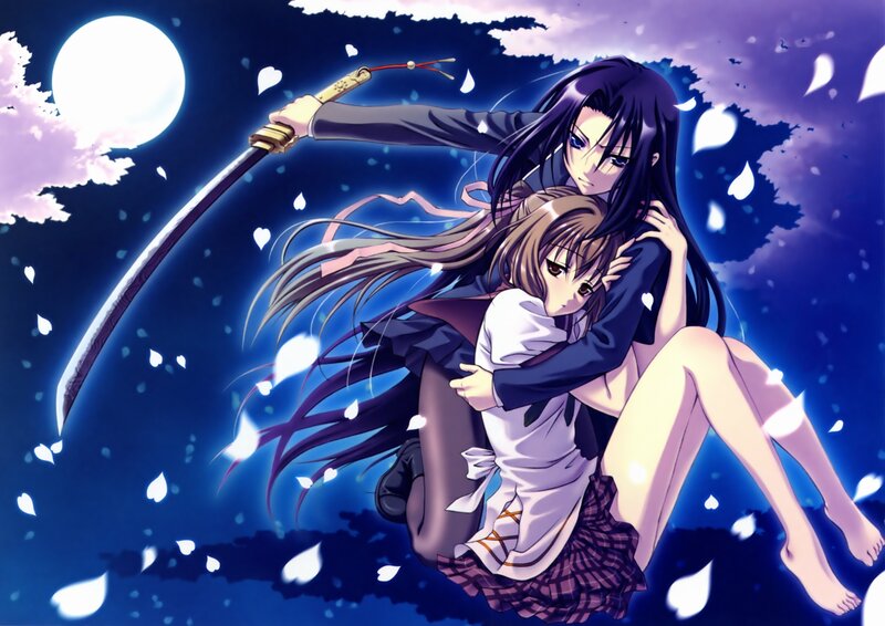 Anime girls with sword and petals