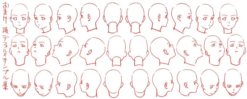anime head reference sheet