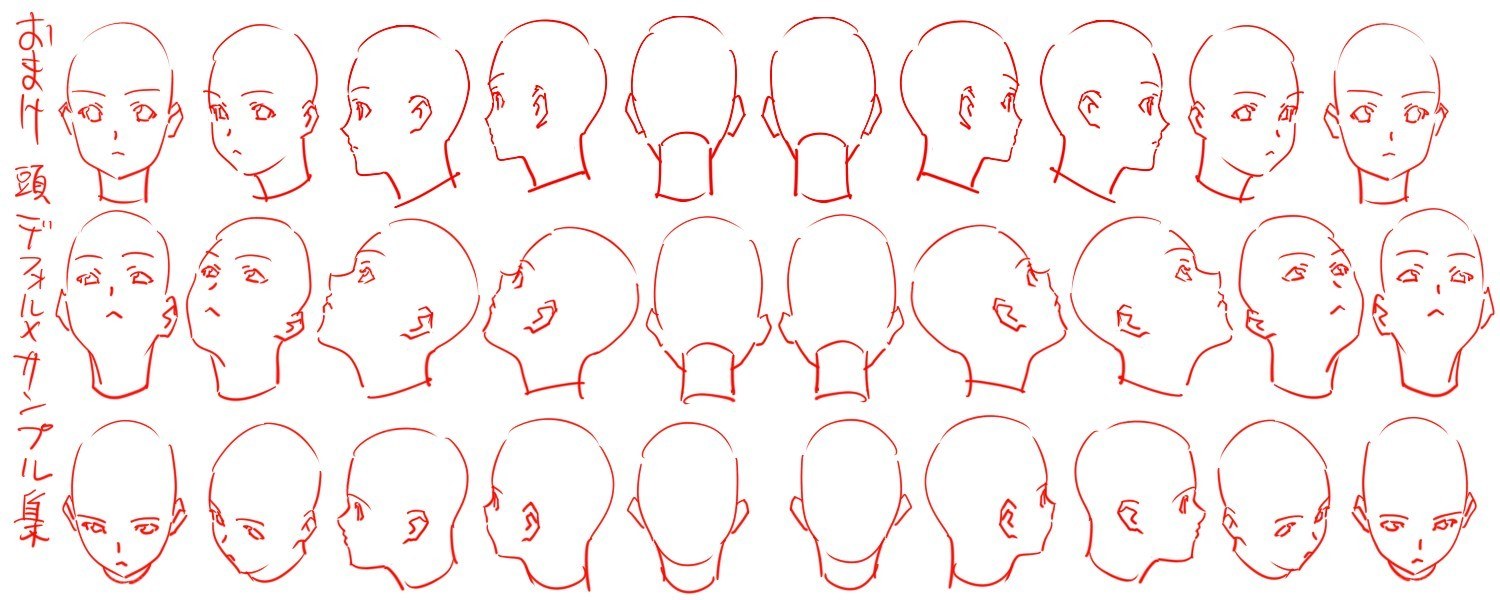 anime head reference sheet