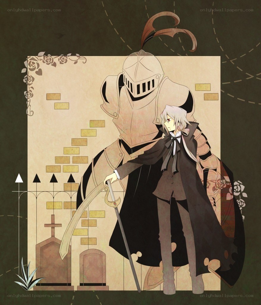 anime knight and swordsman
