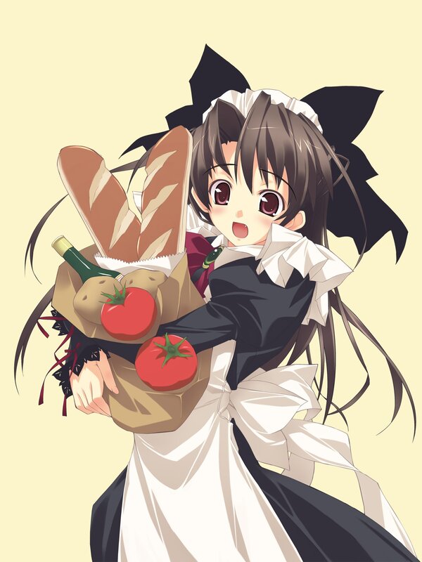 anime maid with groceries