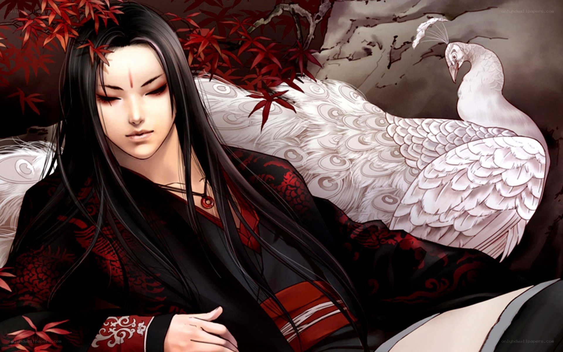 anime man with white bird