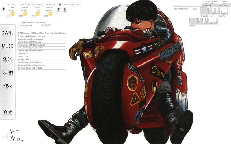 Anime motorcycle rider on desktop