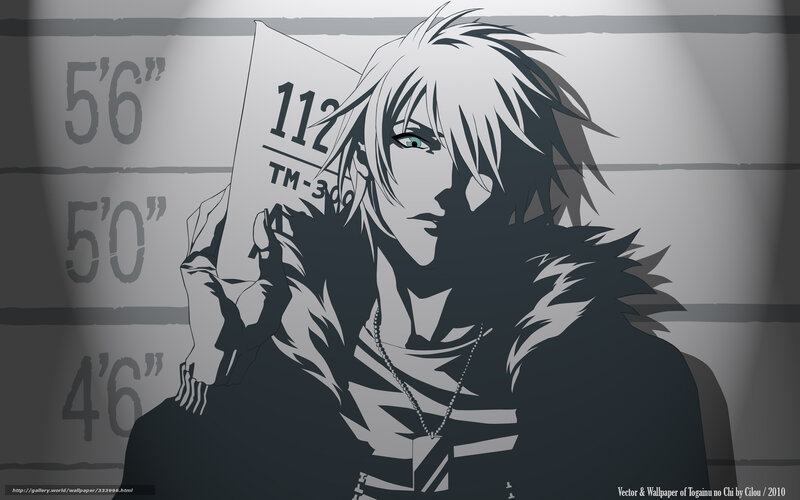 Anime mugshot portrait