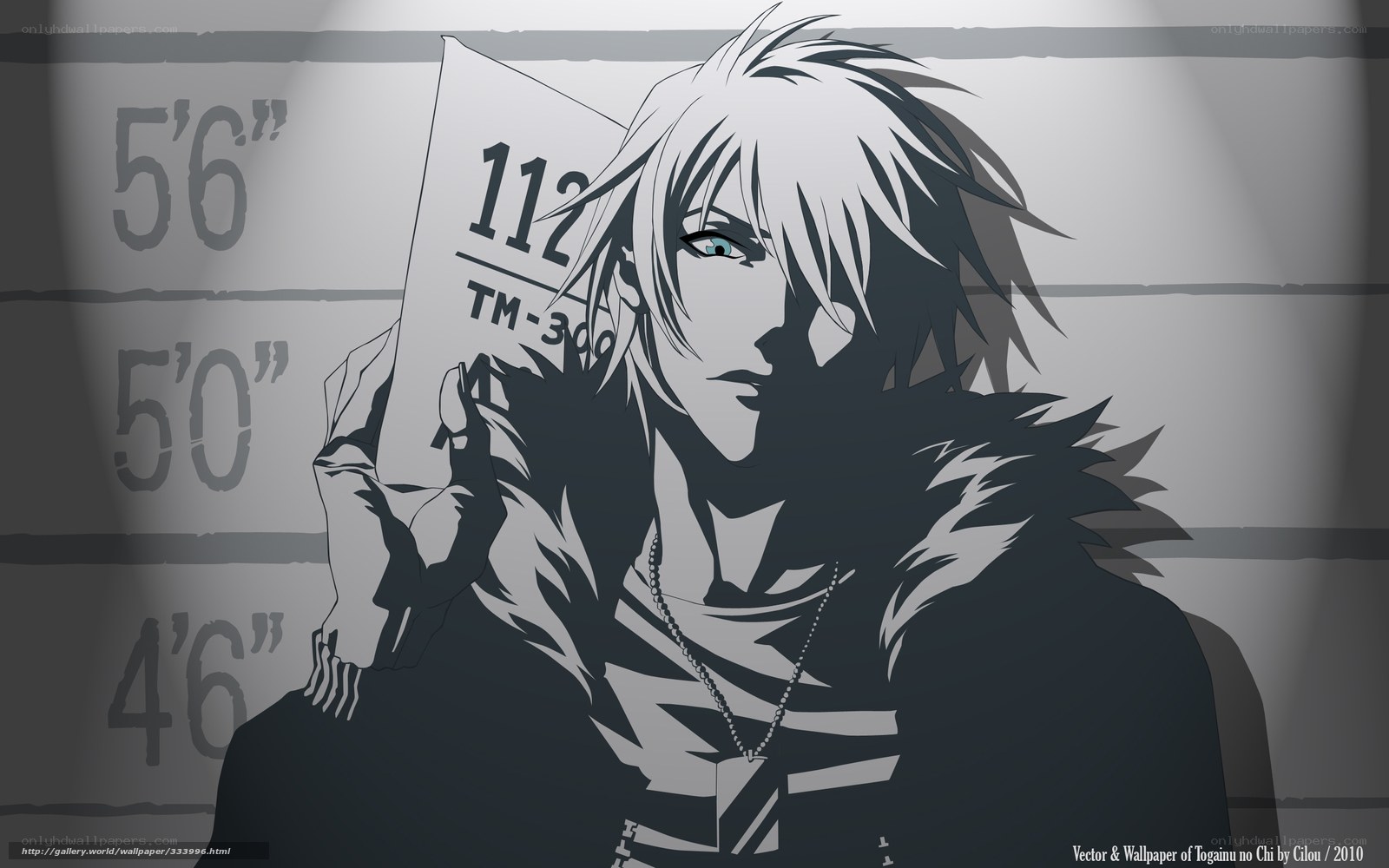 Anime mugshot portrait