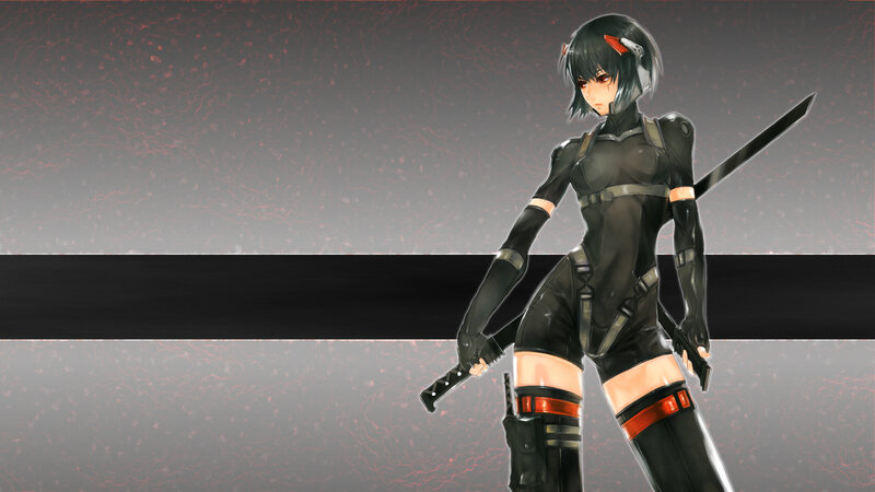 anime ninja warrior with swords
