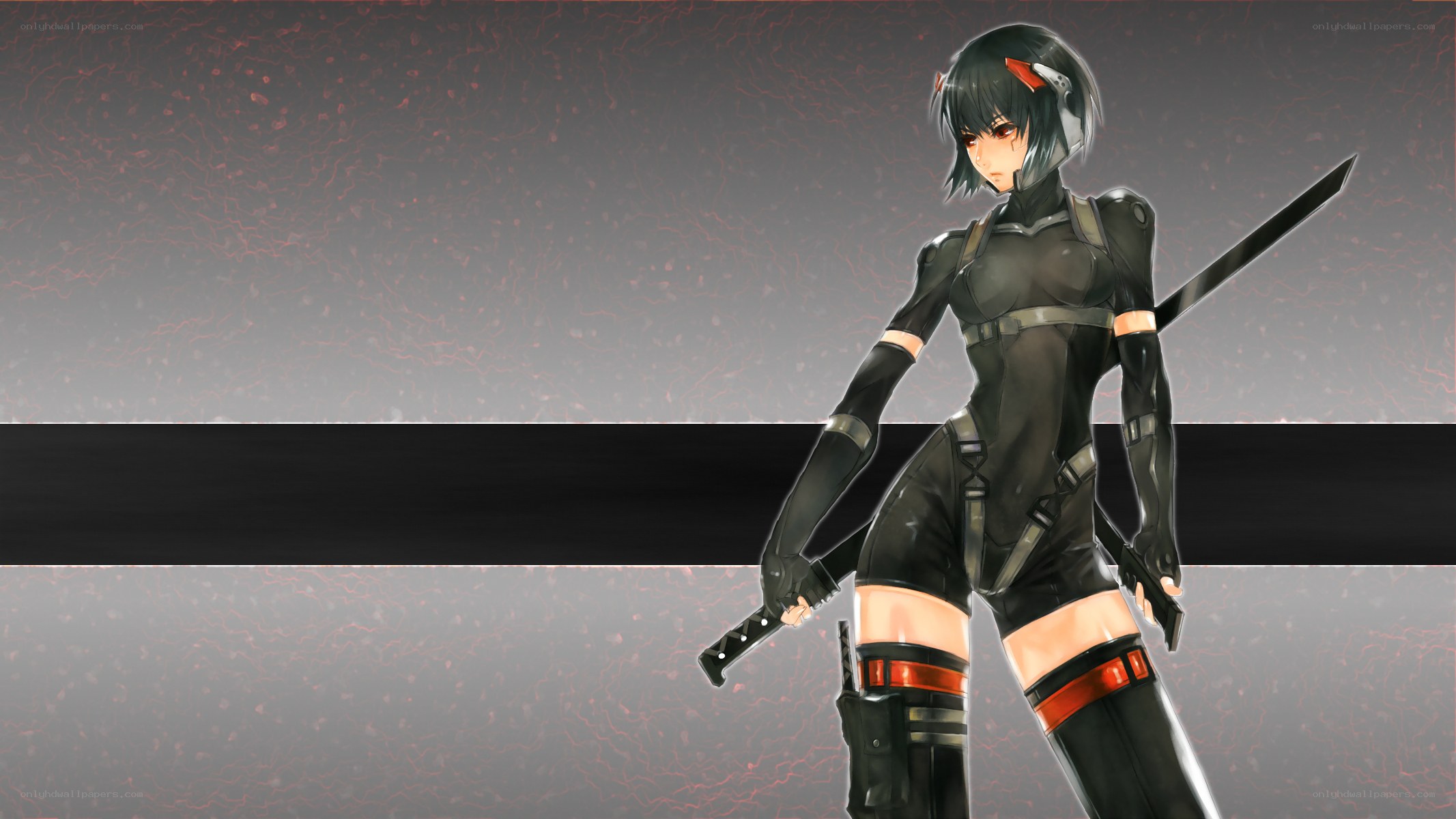 anime ninja warrior with swords