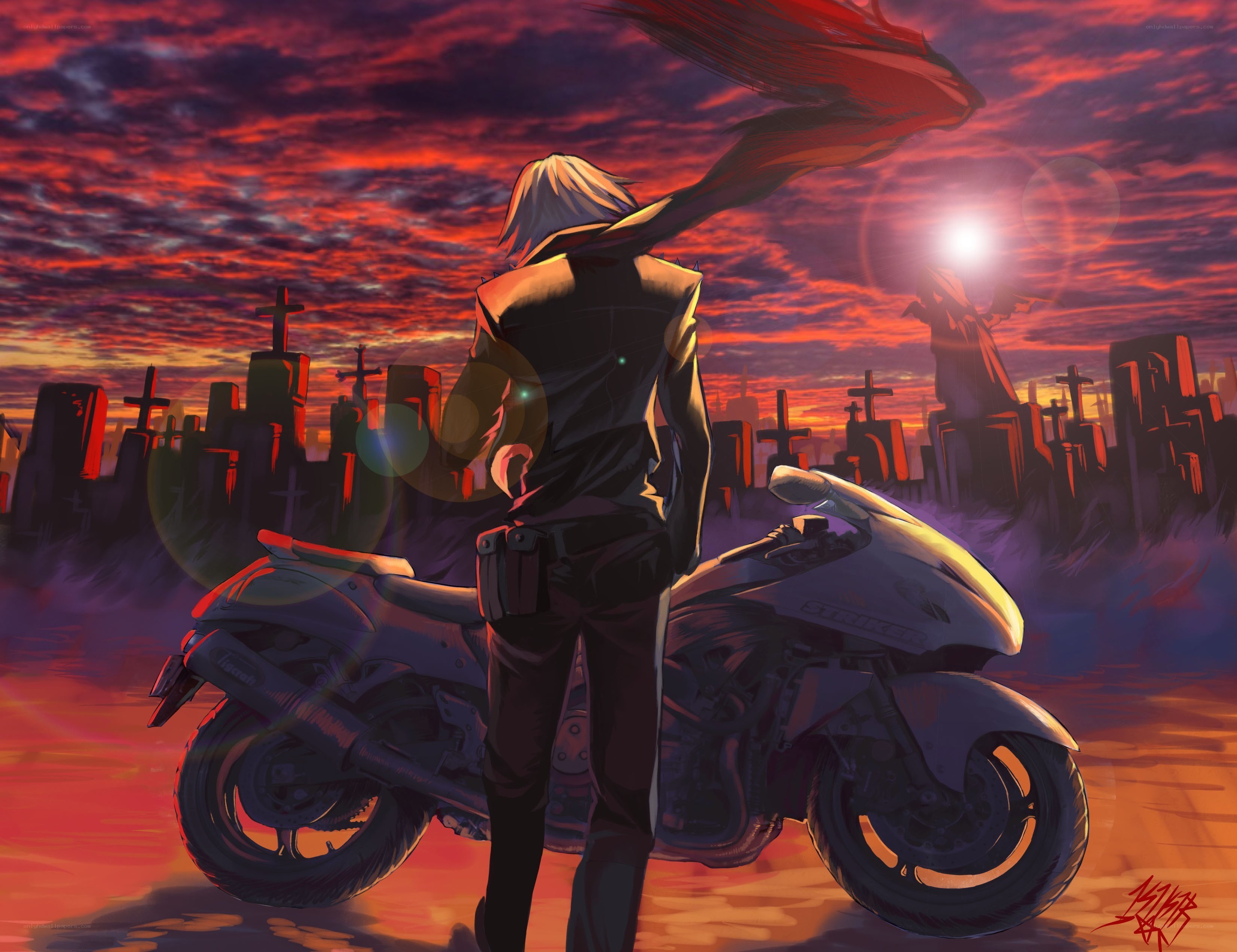 Anime rider at sunset