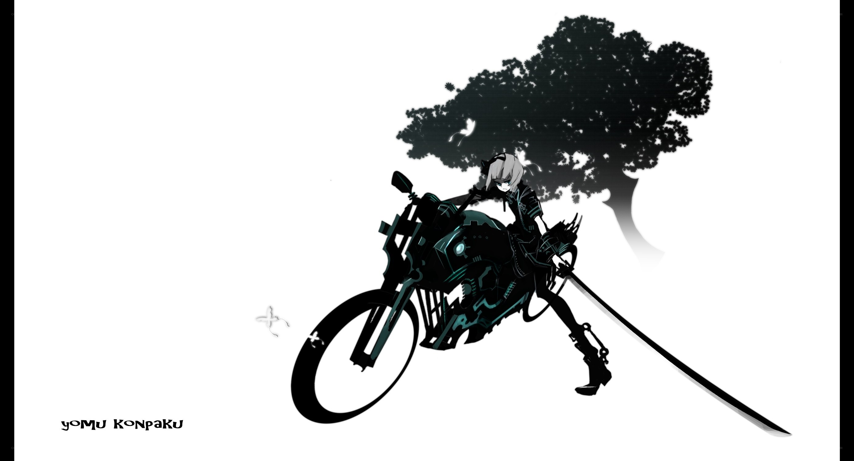 Anime rider with sword