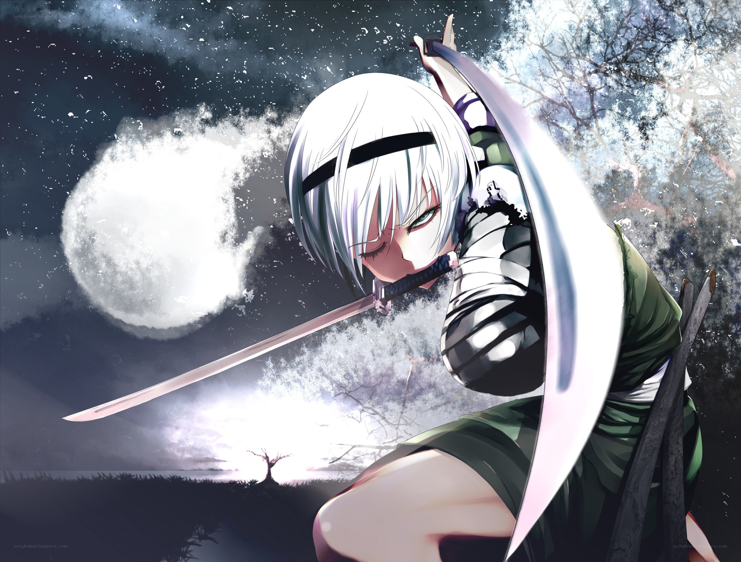 anime swordsman in moonlight