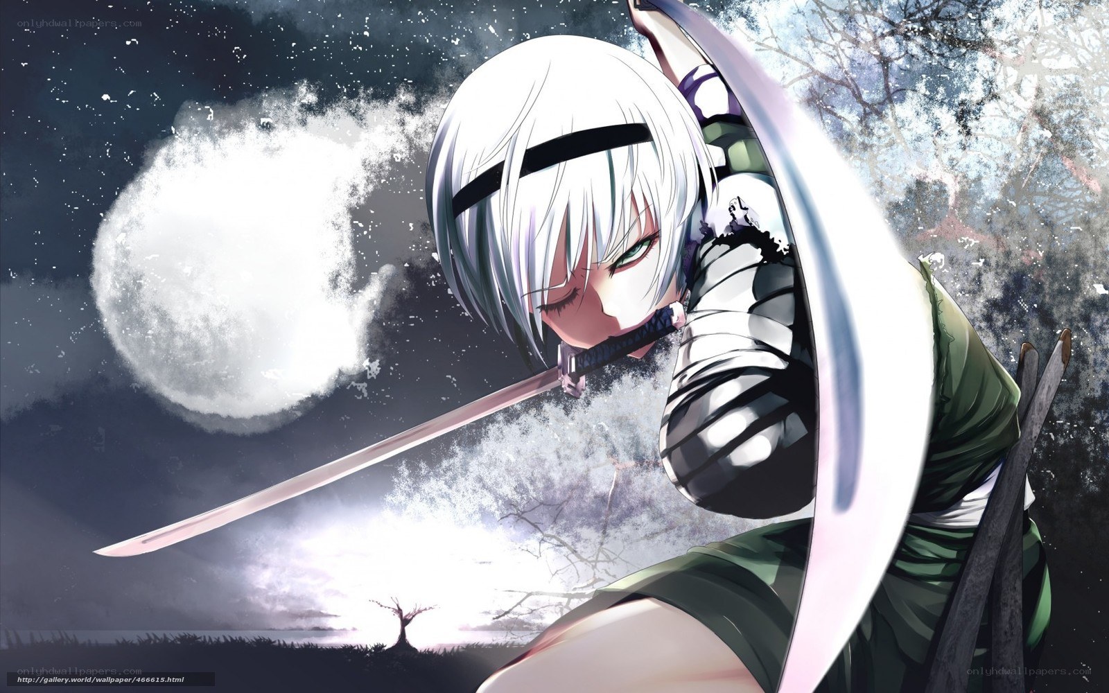 anime swordsman in moonlight