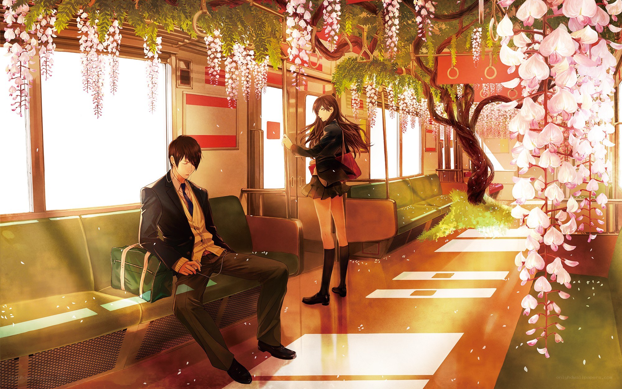 Anime train with cherry blossoms