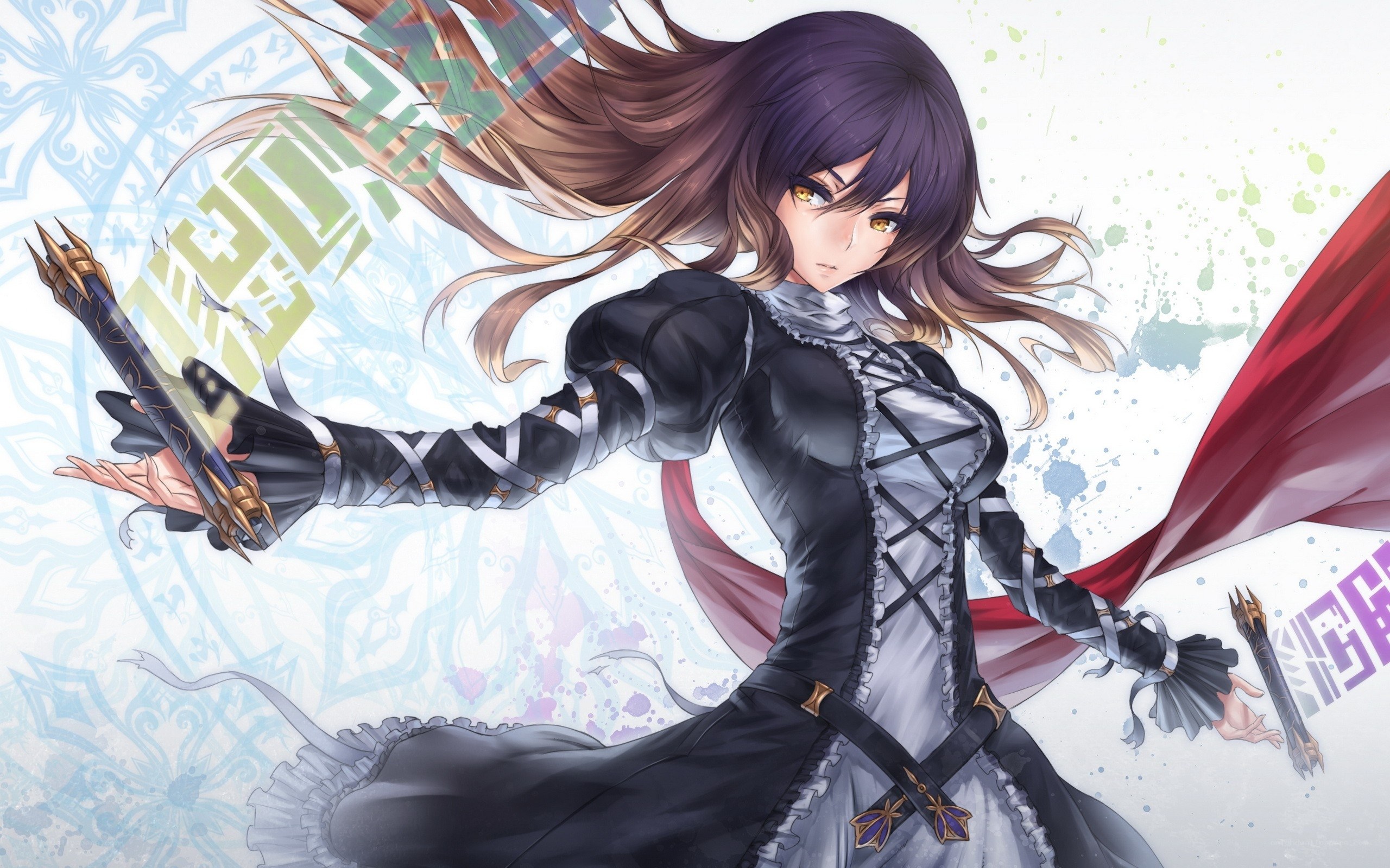 anime warrior with dual blades