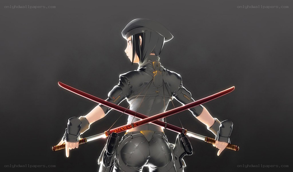 anime warrior with dual swords