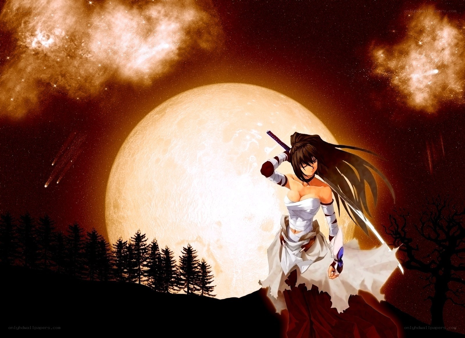 anime warrior with sword