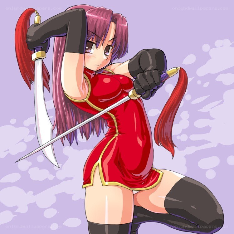 anime warrior with swords