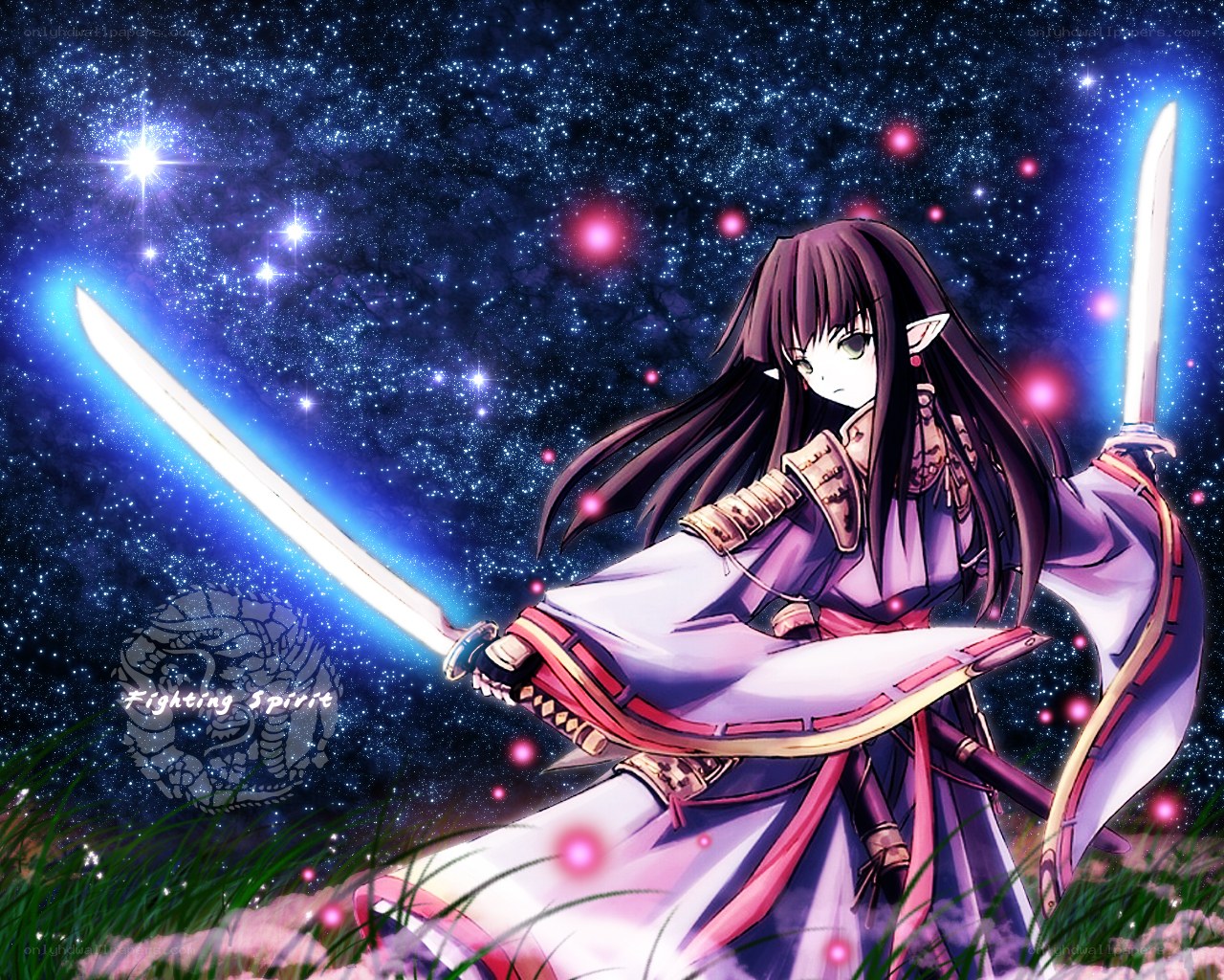 anime warrior with swords