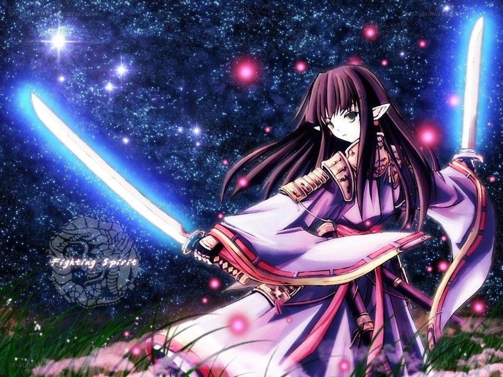 Anime warrior with swords