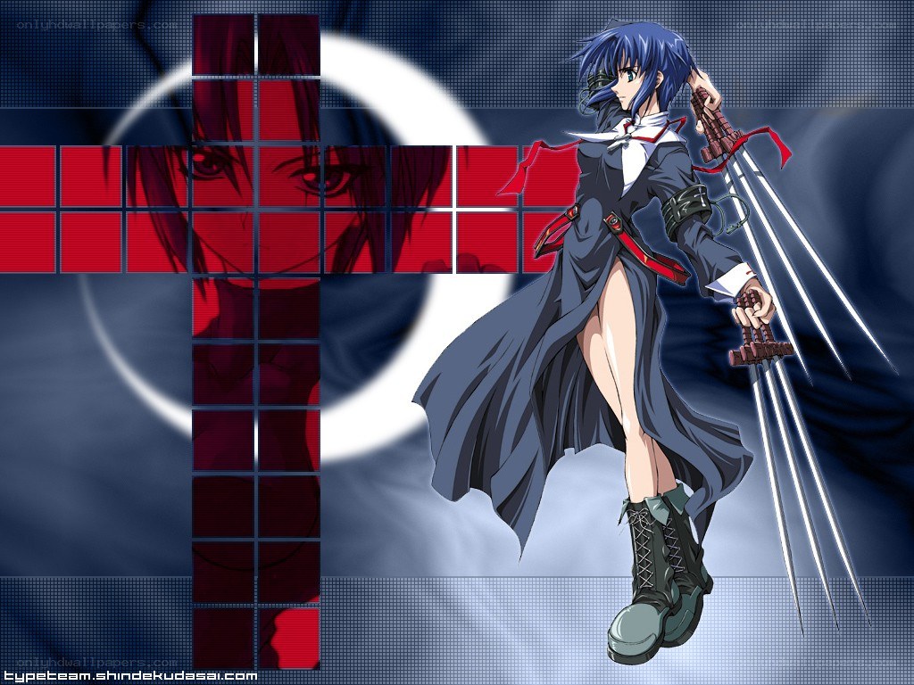 Anime warrior with swords