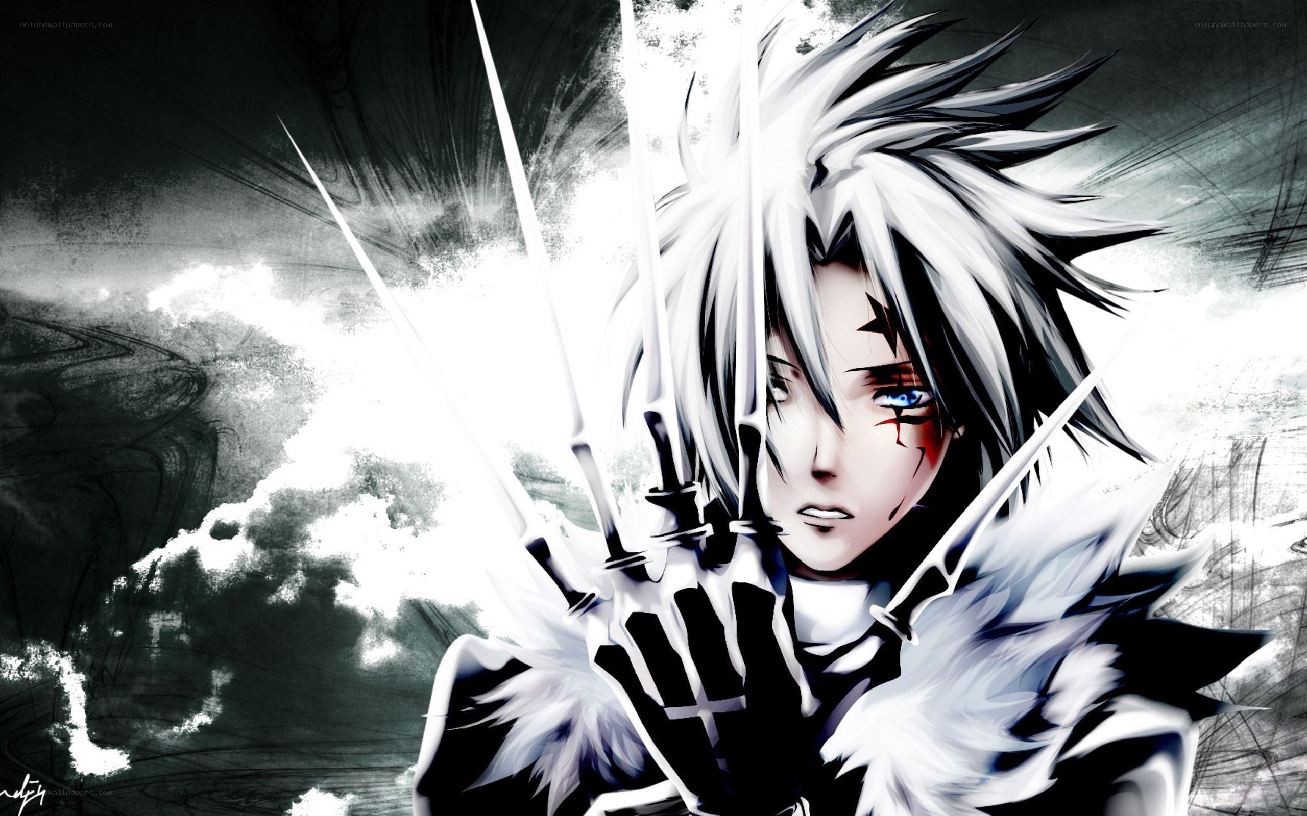 anime warrior with swords