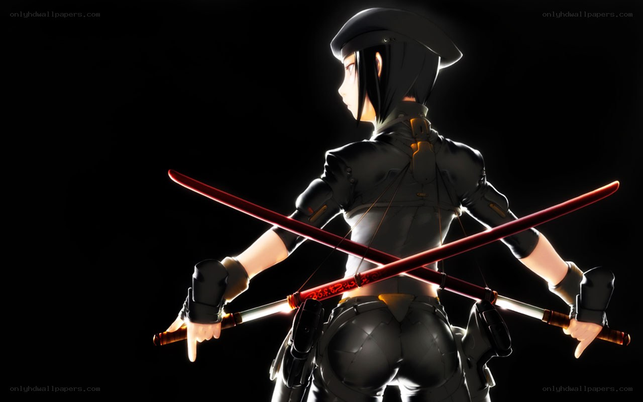 anime warrior with swords